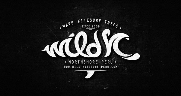 30-Perfectly-Crafted-Script-Logotype-Examples-by-Dalibor-Momcilovic-15