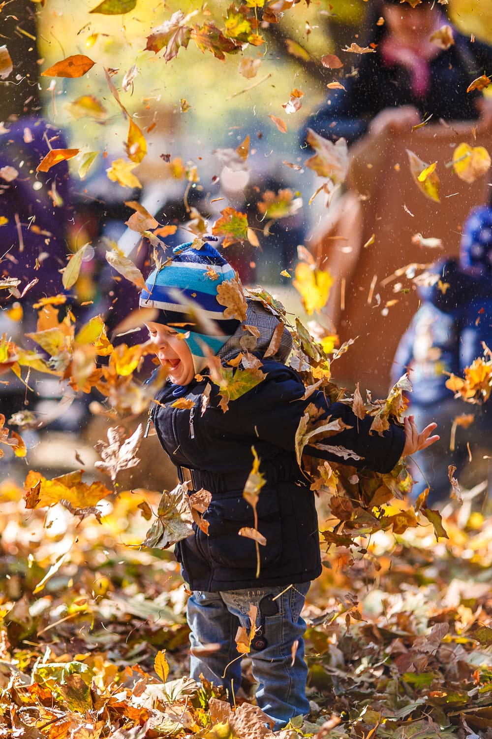 осень дети играют с листьями