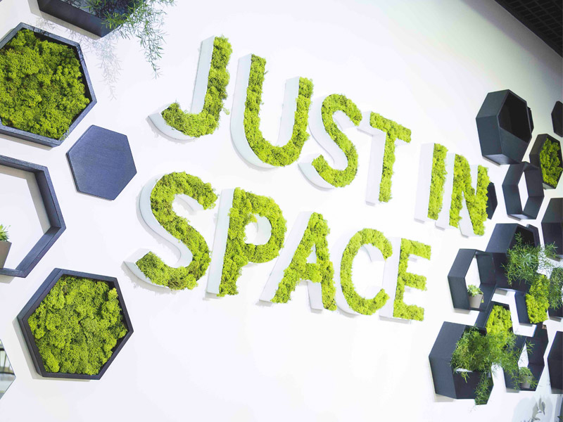 логотип шоурума